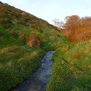 CoastCamp 054 : CoastCamp